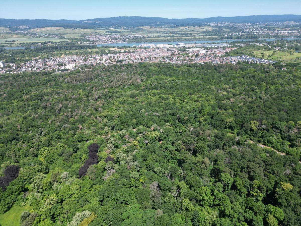 Ferienhaus Budenheim Eksteriør billede